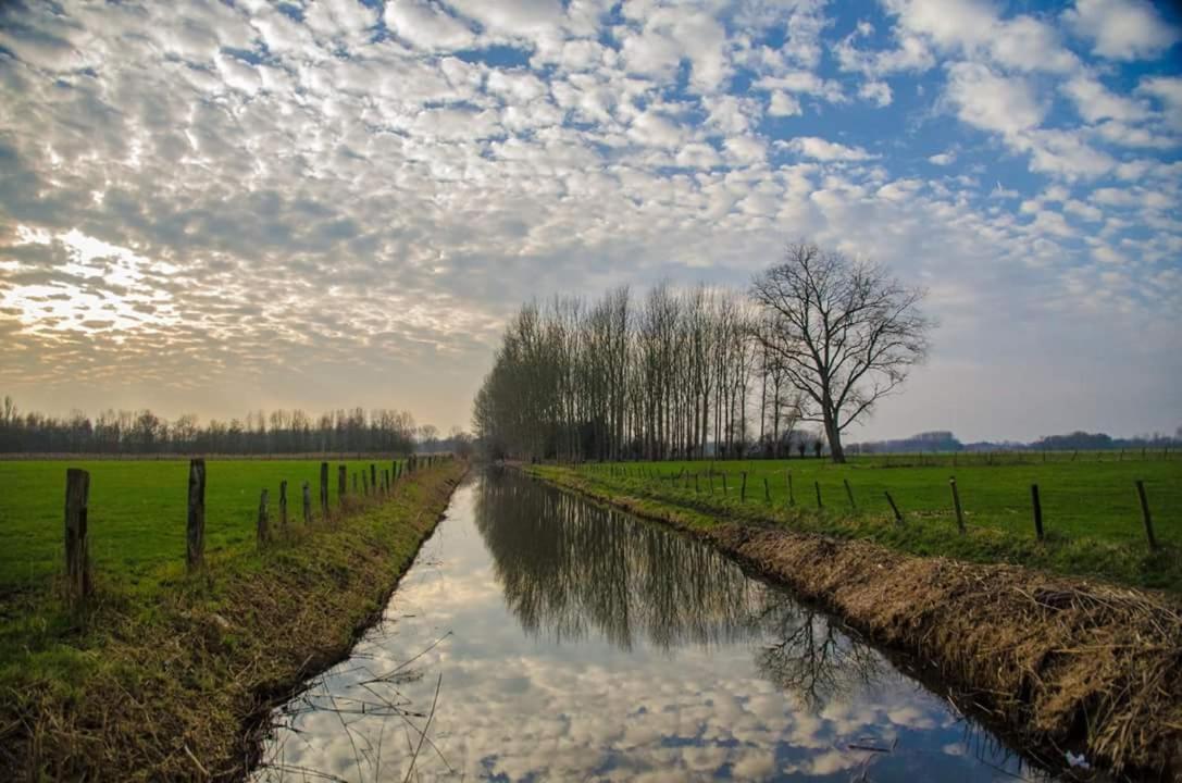 B&B Close2Ghent Heusden Exteriör bild